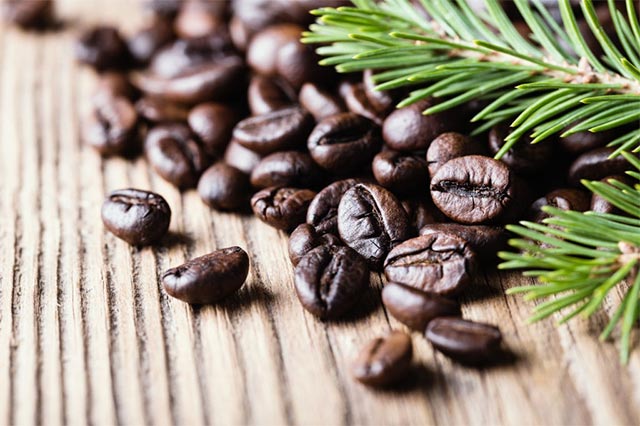 hạt robusta